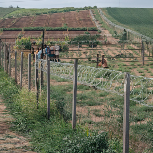 Agricultural Lands